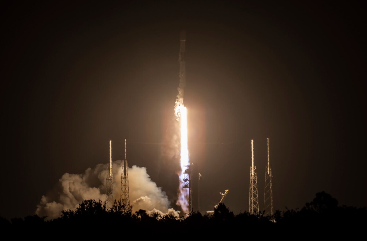 Фото: SpaceX  📷
