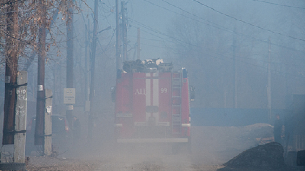    Фото: Svetlana Vozmilova/Globallookpress