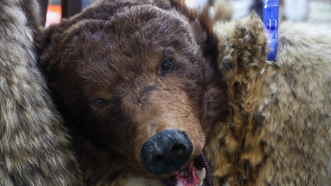    Shatokhina Natalia/news.ru/Globallookpress