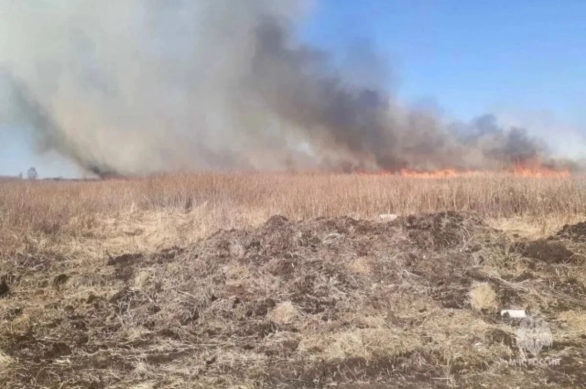   Пятеро детей подожгли траву в Забайкалье за неделю