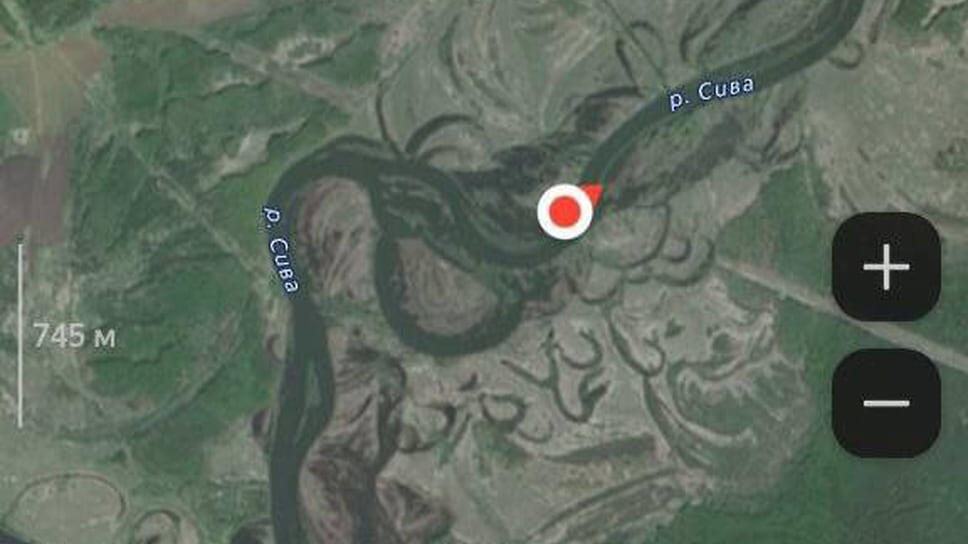 Фото: Андрей Шуткин, Telegram