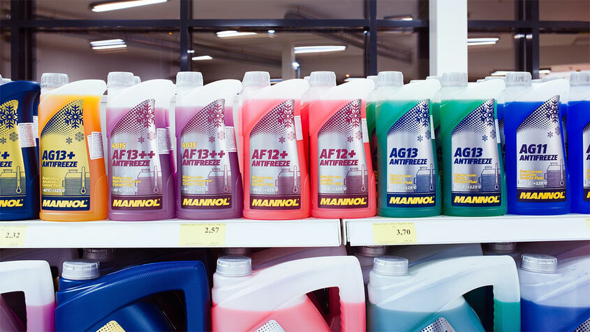 Фото: Robert Laursoo (Unsplash)