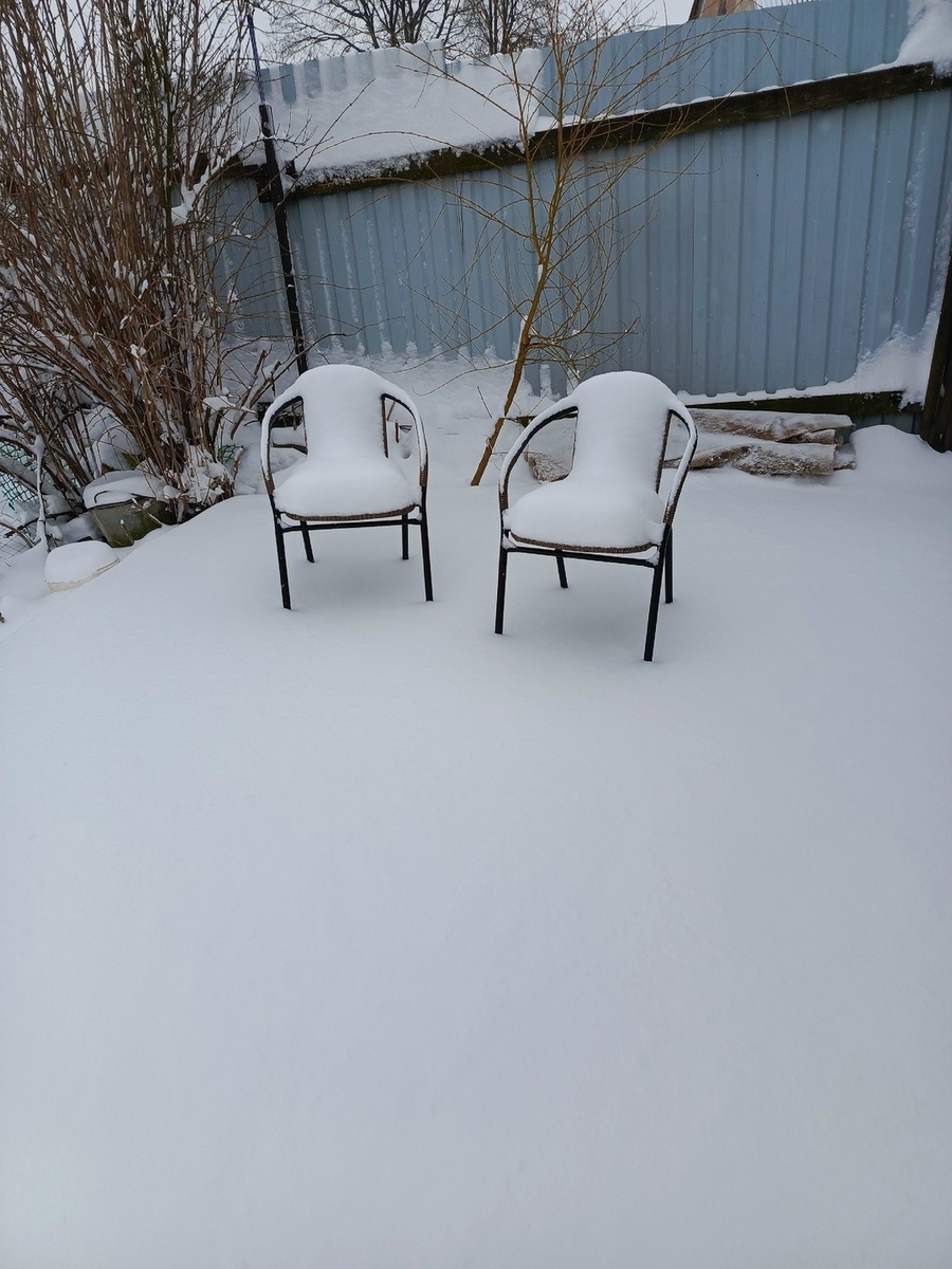 6 апреля 2025г