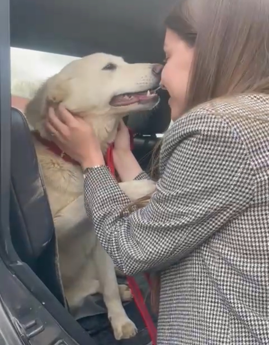 Белка и её мама