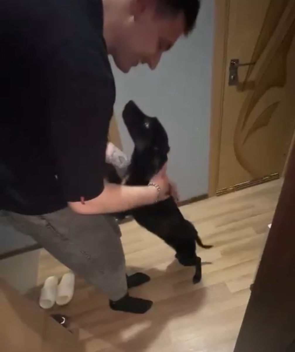 Роза с папой