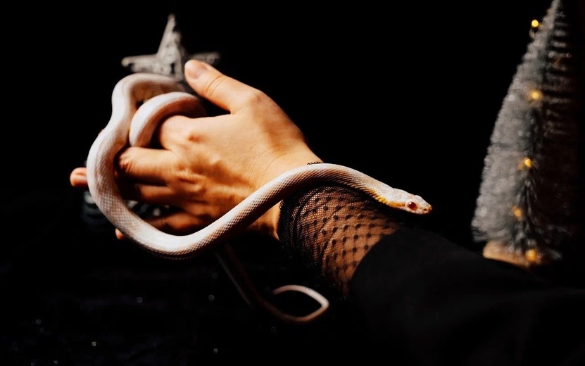    Чрезмерный азарт – прямой путь к потерям: кто 7 апреля рискует попасть в финансовую ловушку