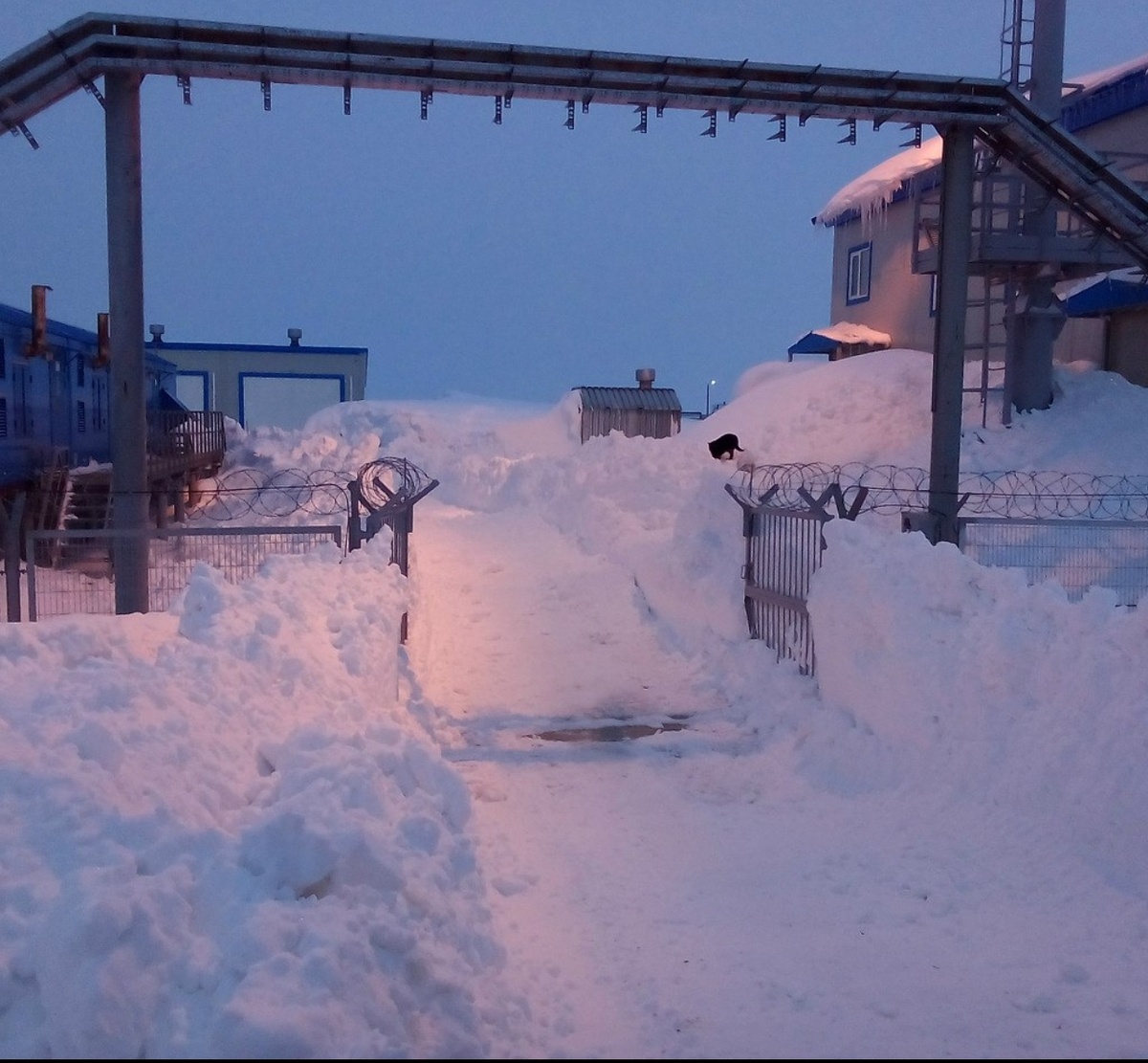 Почему вахта на Севере так привлекательна?