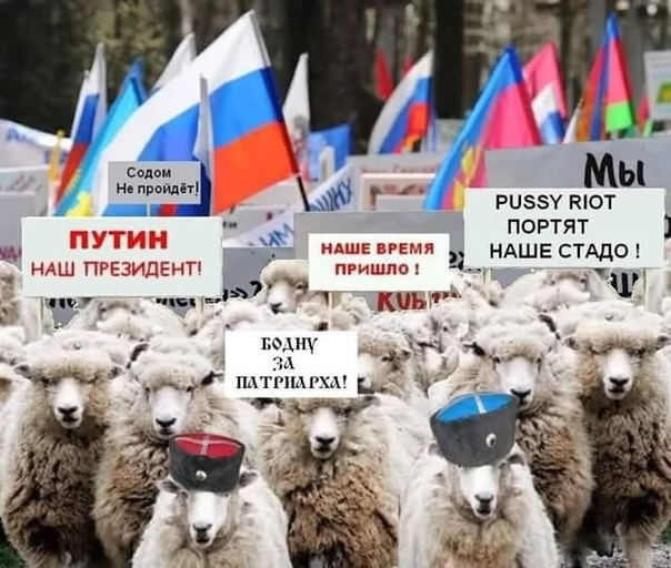 Источник изображения: сайт yandex.by/images