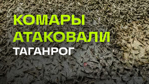 Давай на тачке об витрину магазина