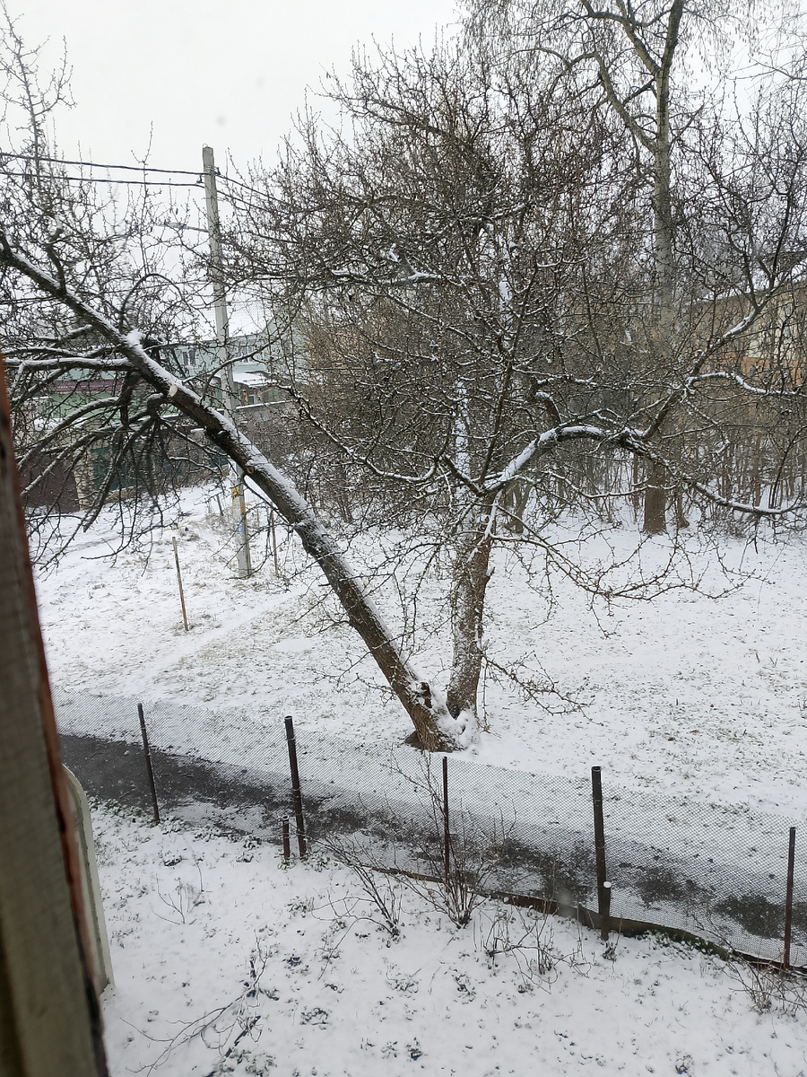 Вид из окна