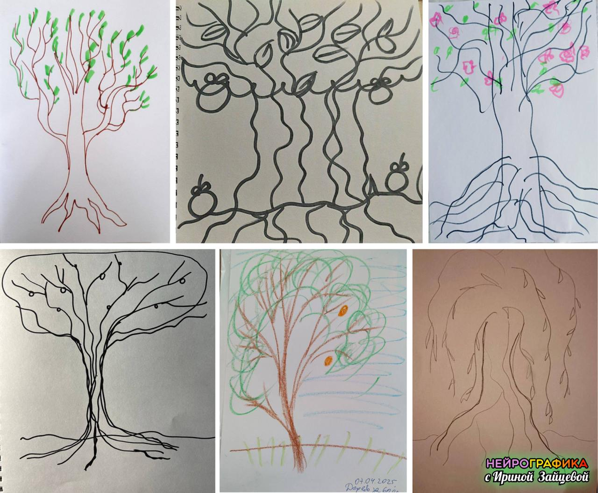 НейроДрево. Тест-диагностика. 