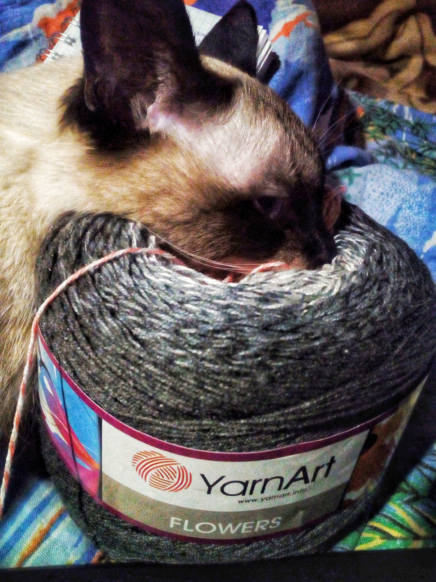 Фото автора канала. 