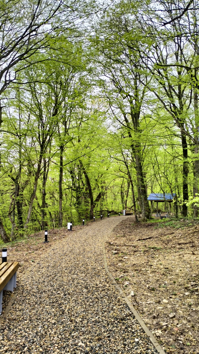 Тропа здоровья 