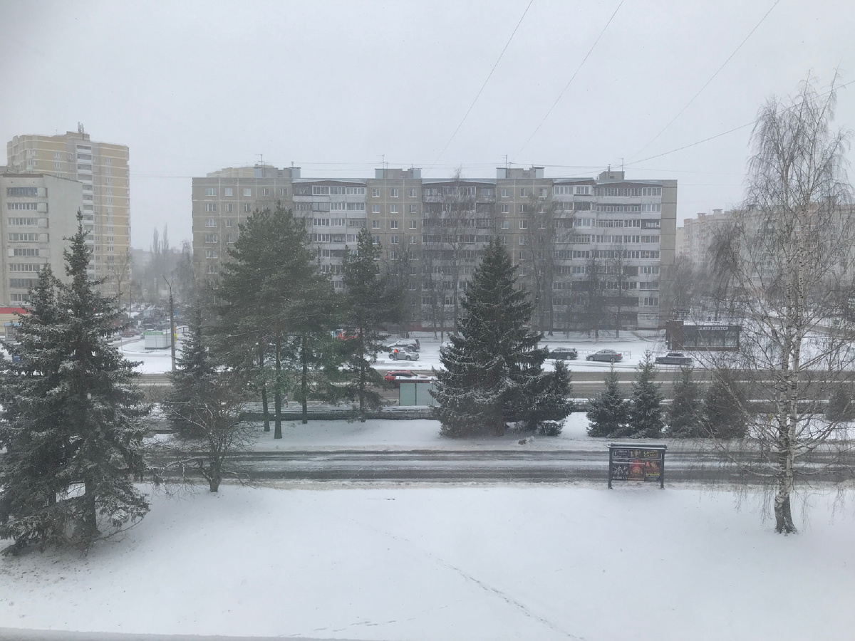 6 апреля 2025г. г.Владимир