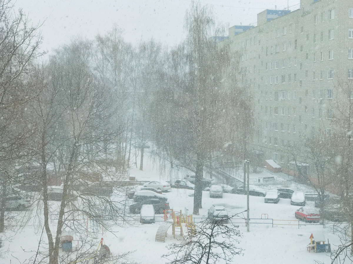 6 апреля 2025г. г.Владимир