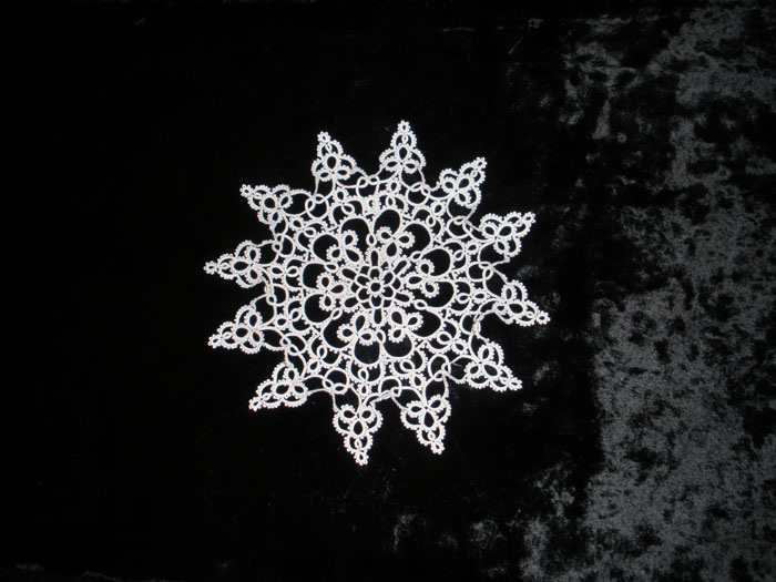 Фото автора. Маленькая розетка