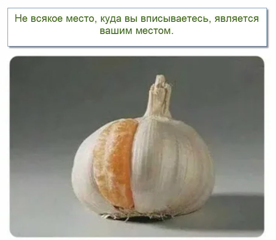 коллаж от &amp;quot;Позитива красок&amp;quot;