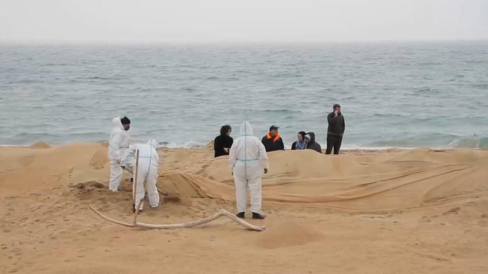 Фото: Оперативный штаб Краснодарского края