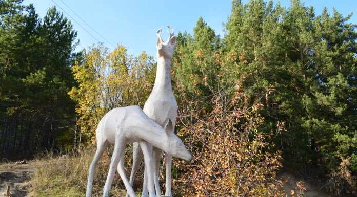    Фото: официальный сайт муниципального образования Город Белокуриха Алтайского края