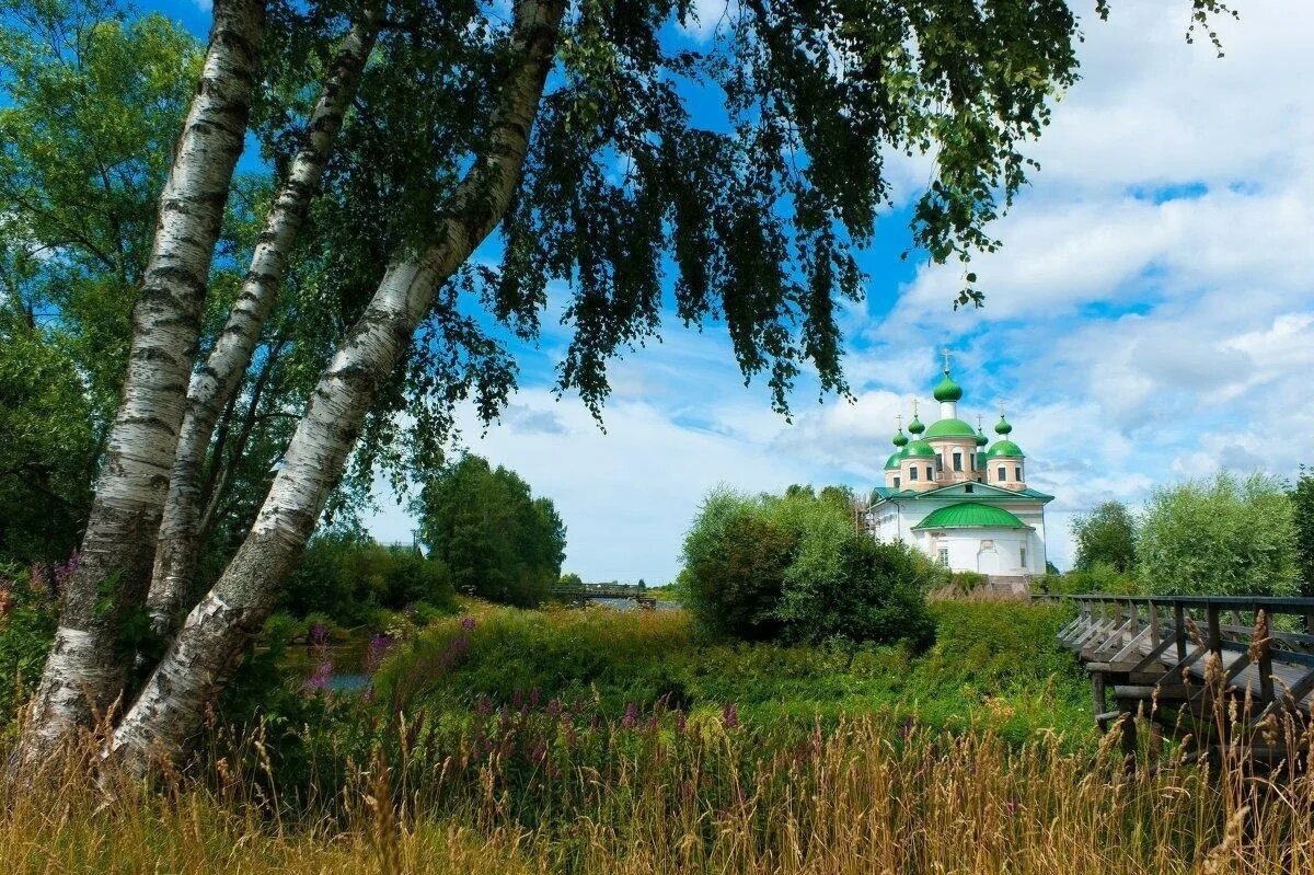 картинка из интернета