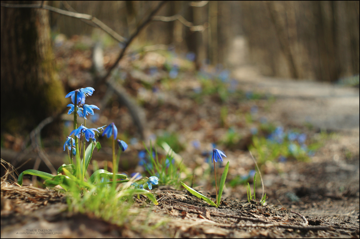 Здесь 3 фотографии, листайте >>>