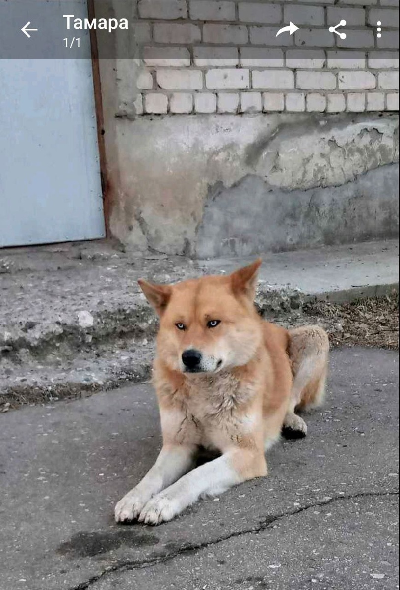 Первое фото, которое мне прислали...