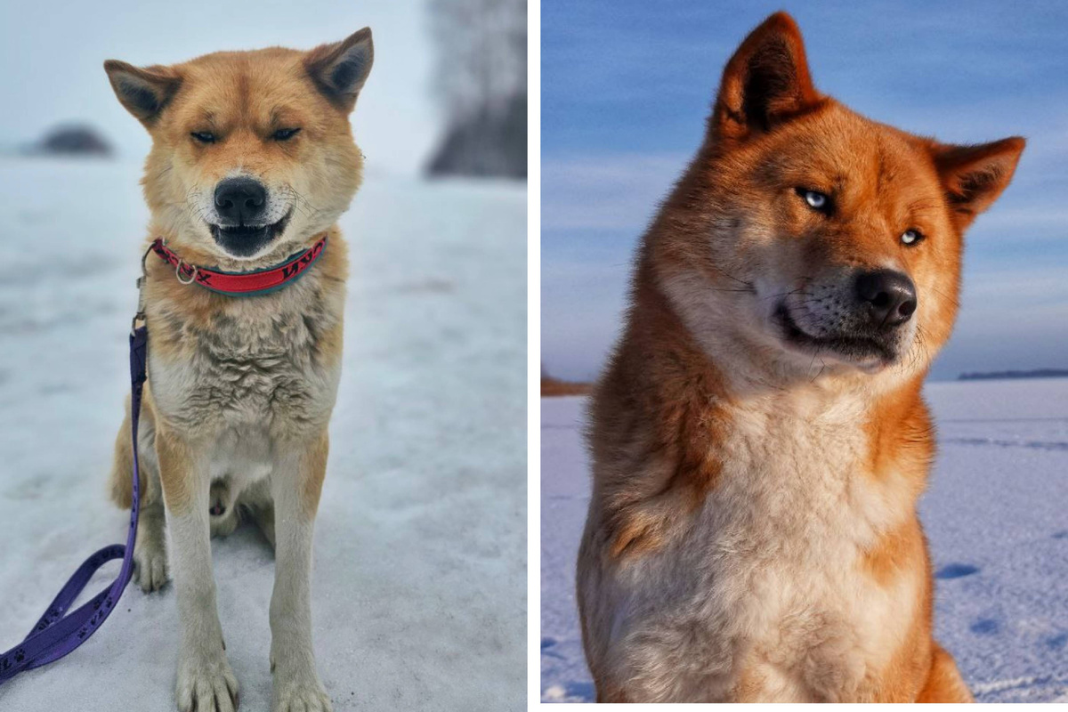 Наше бало/стало