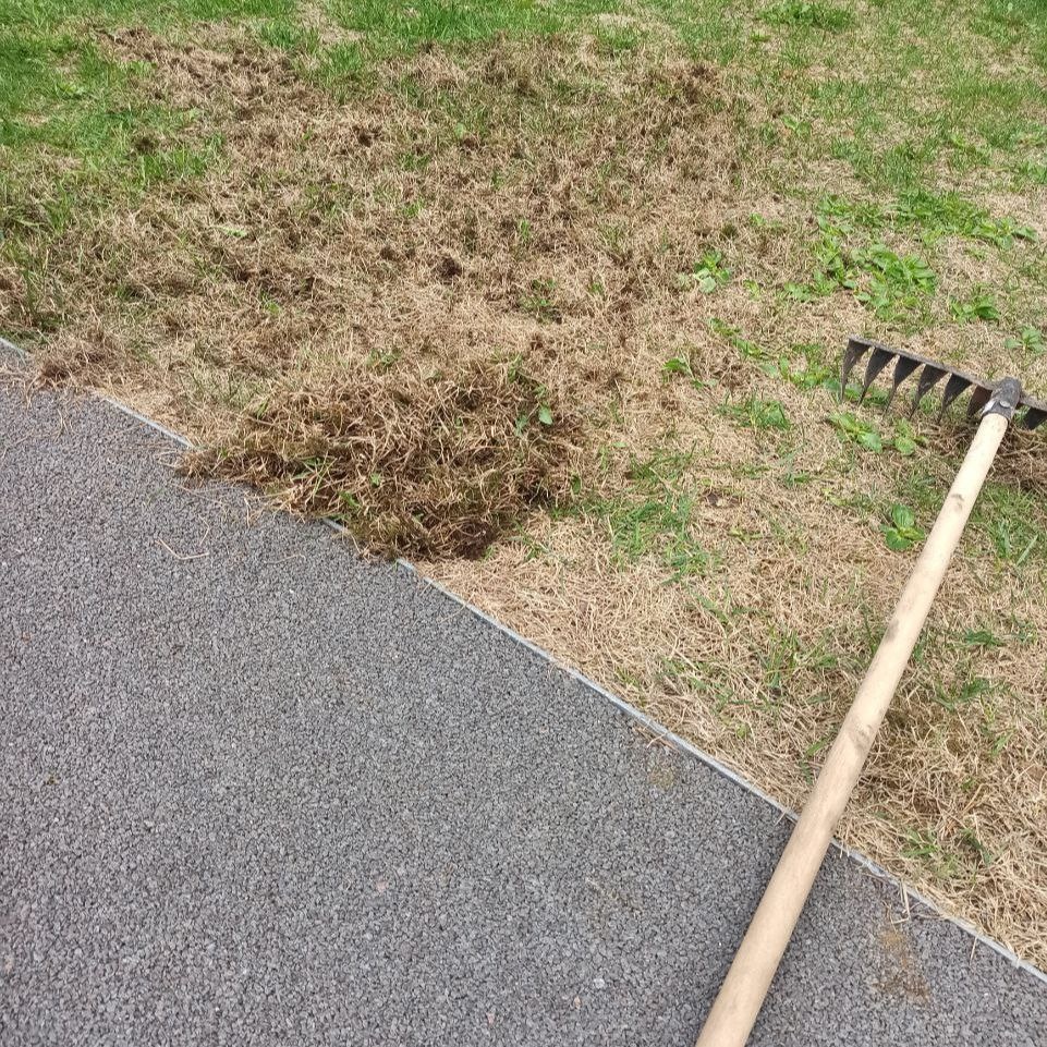 Вычес газона граблями