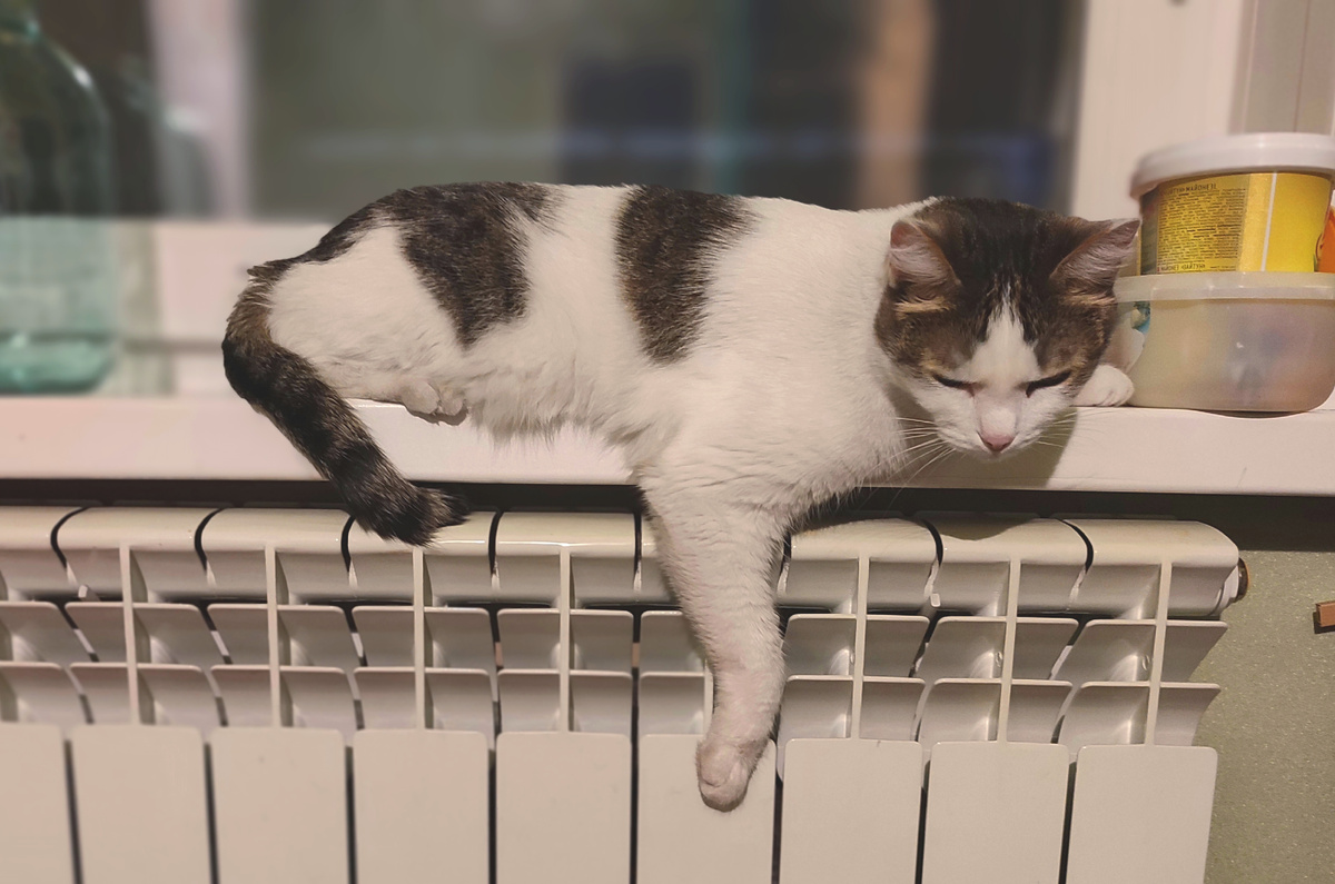 Фото не может передать всю скорбь данной ситуации. Видно, что обида сильна. И боль невыносима