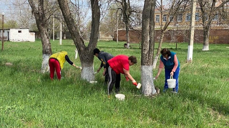    Наведение санитарного порядка продолжается