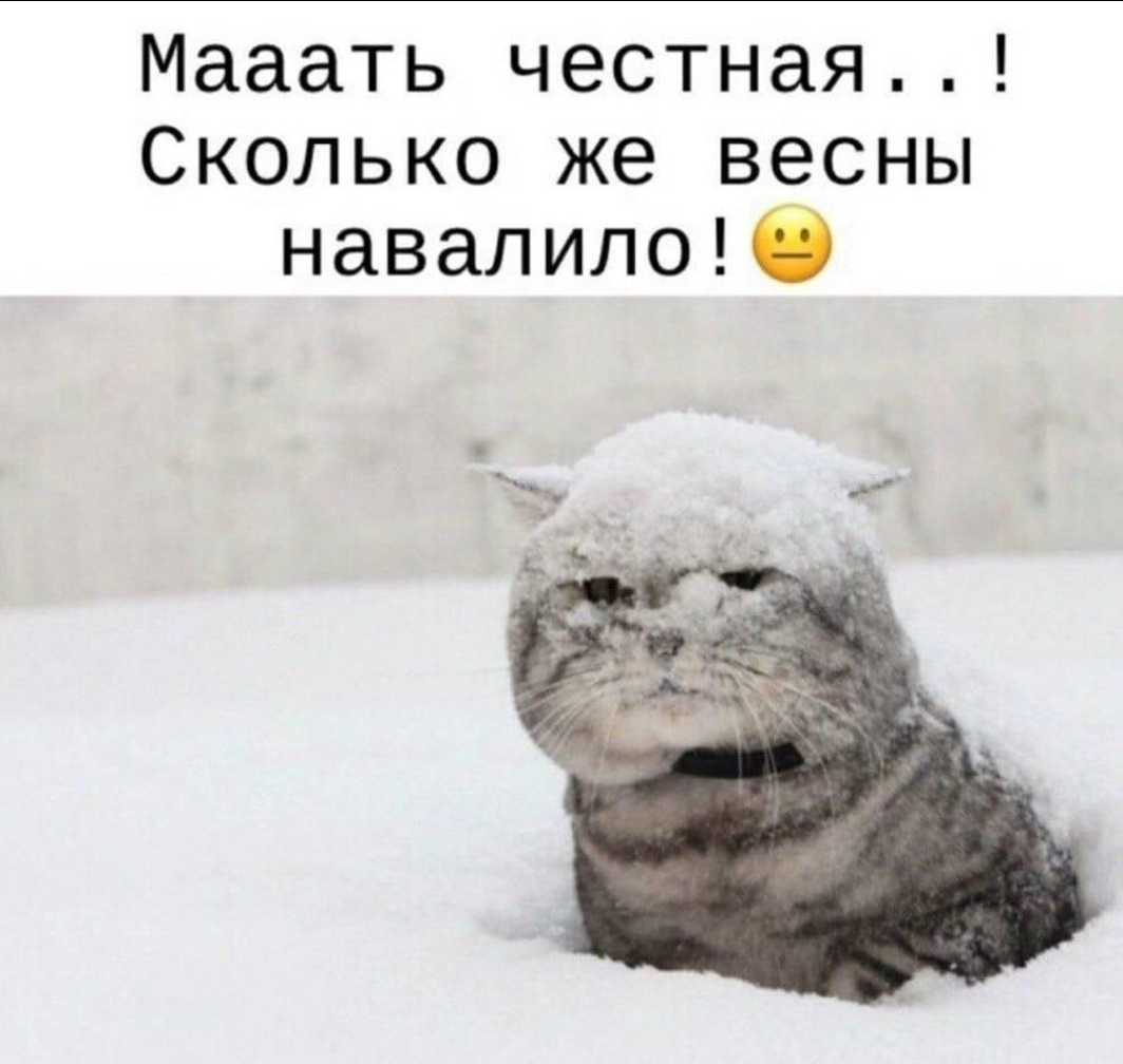 Скриншот с Яндекс.картинки