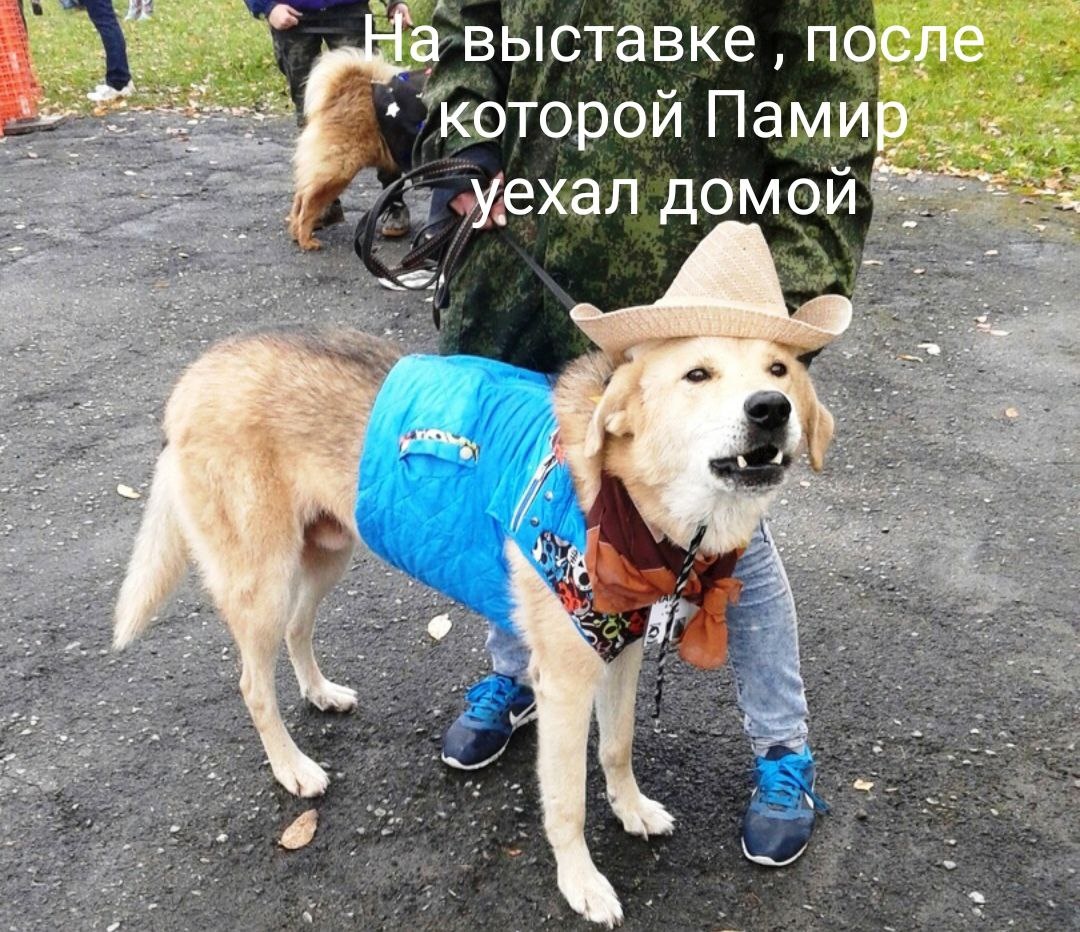Не знаем как вам , друзья, Памир нам напоминал мушкетёра Атоса.