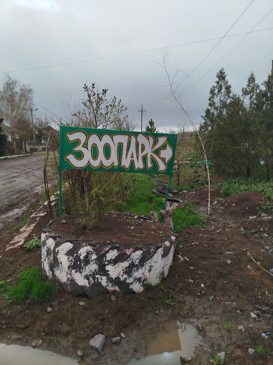 При входе в зоопарк.