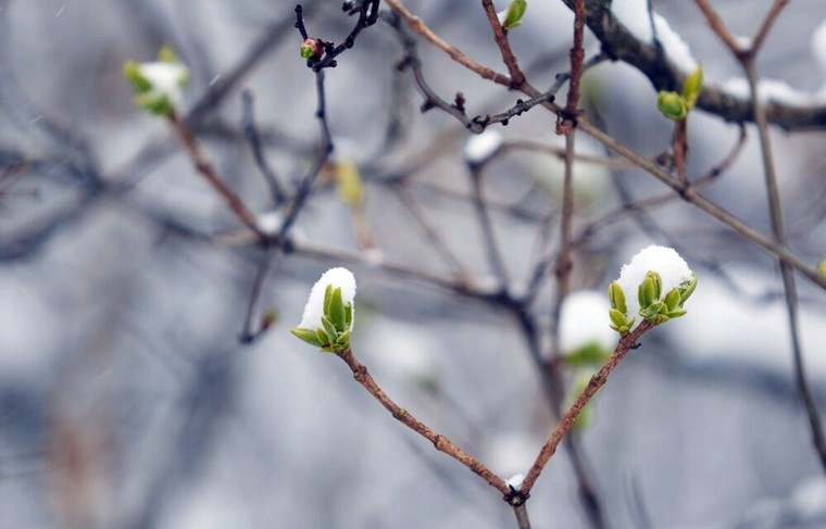    Дмитрий Белицкий/Агентство «Москва»
