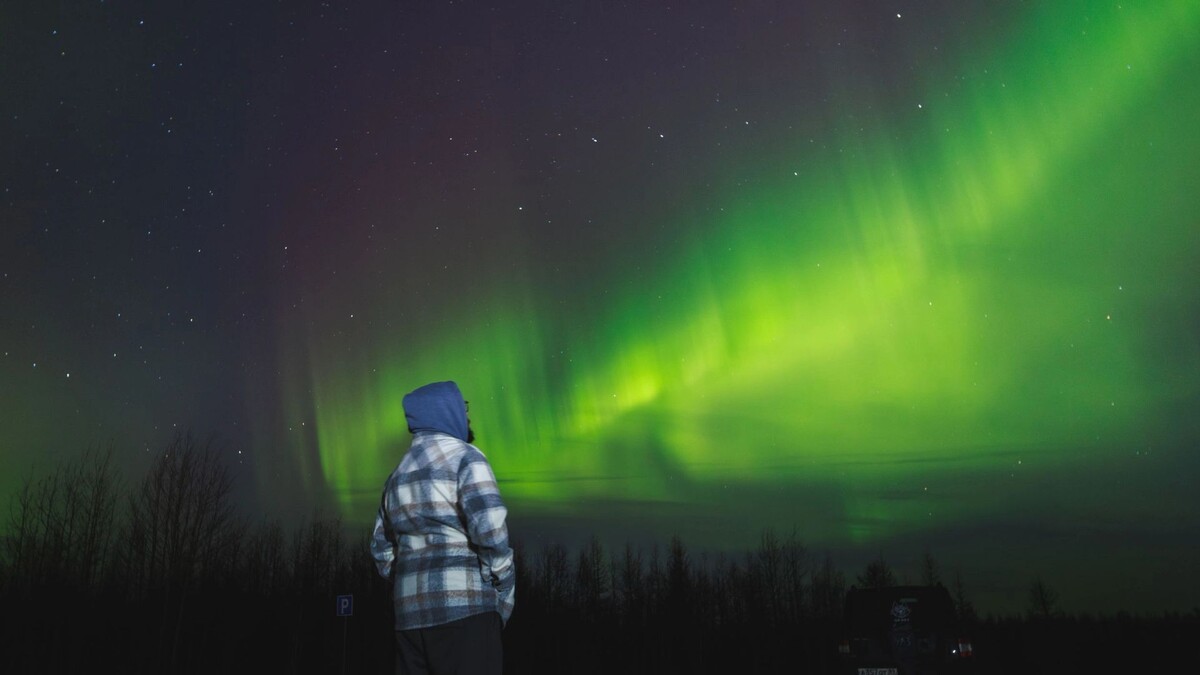    Фото: Юлия Чудинова/«Ямал-Медиа»