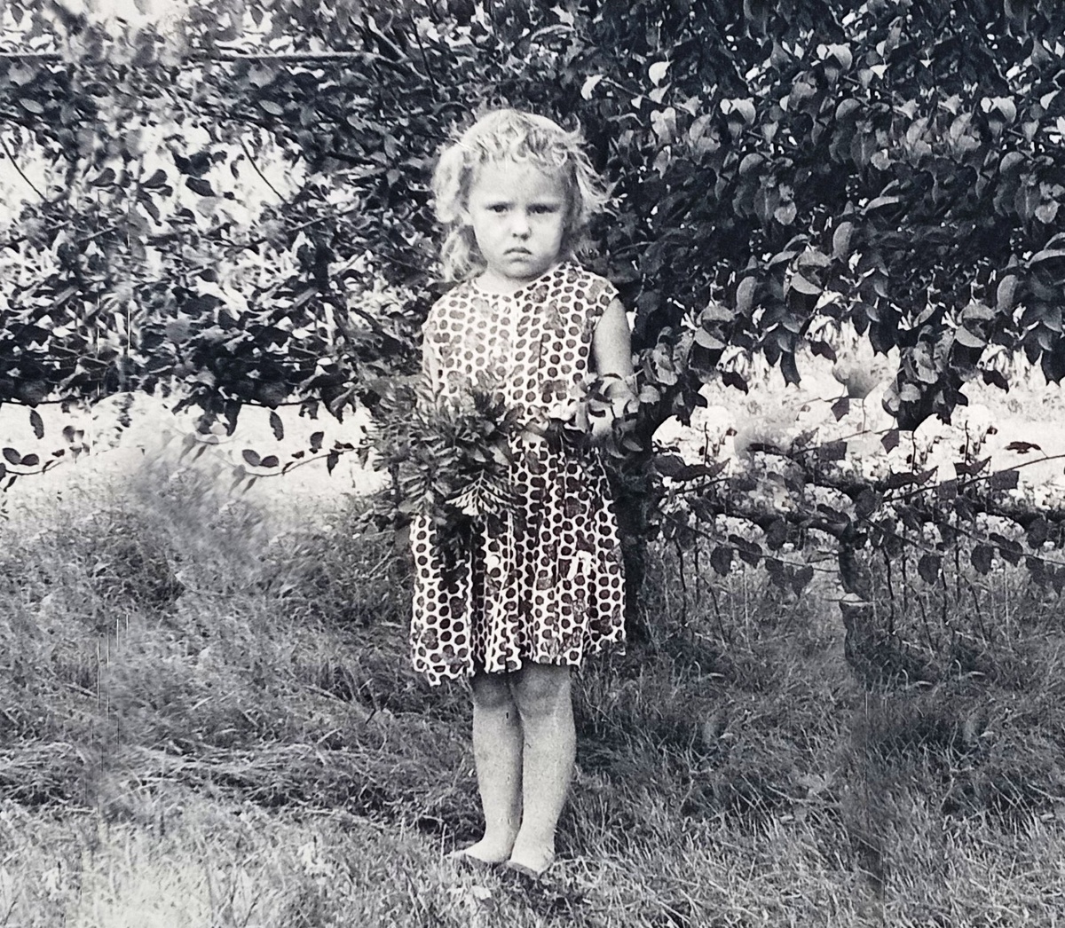 M. Shein именно в том возрасте