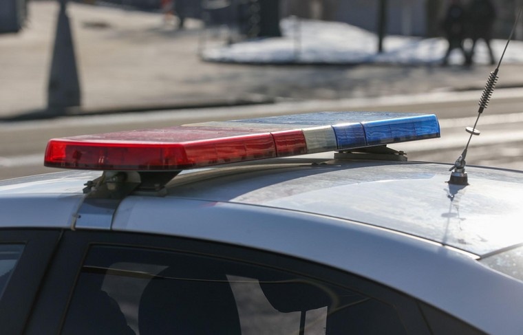    Алексей Белкин/NEWS.ru