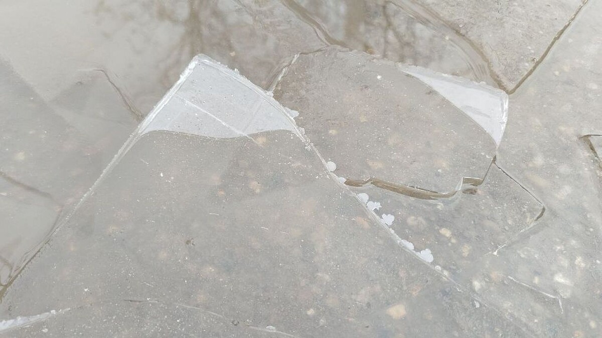    Фото: телеканал «Краснодар»