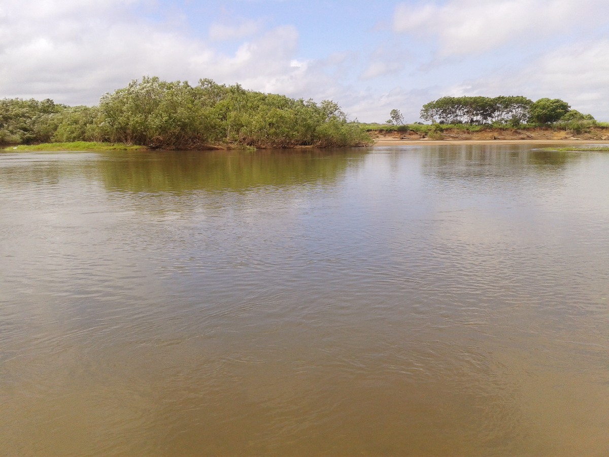 За неимением фото действующих лиц - моё фото Уссури.