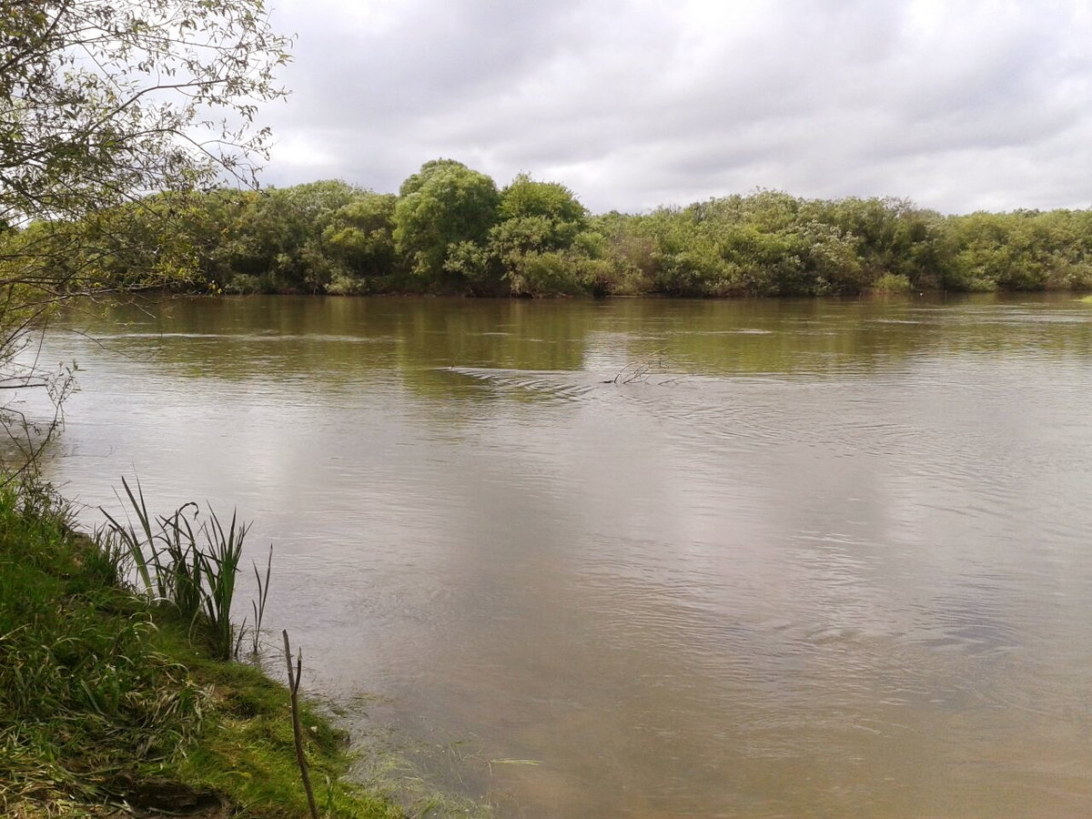 Река Уссури. Фото автора.