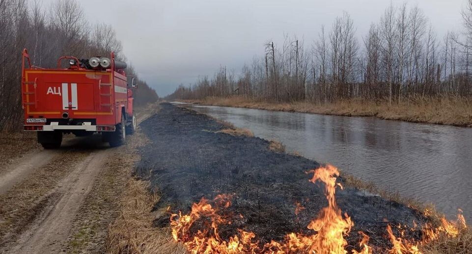    Комитет лесного хозяйства Московской области