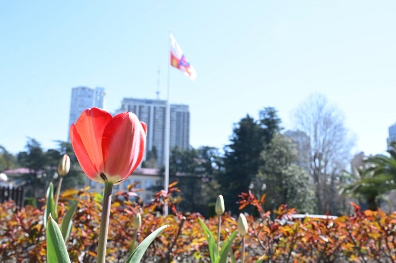    Фото: пресс-служба администрации Сочи