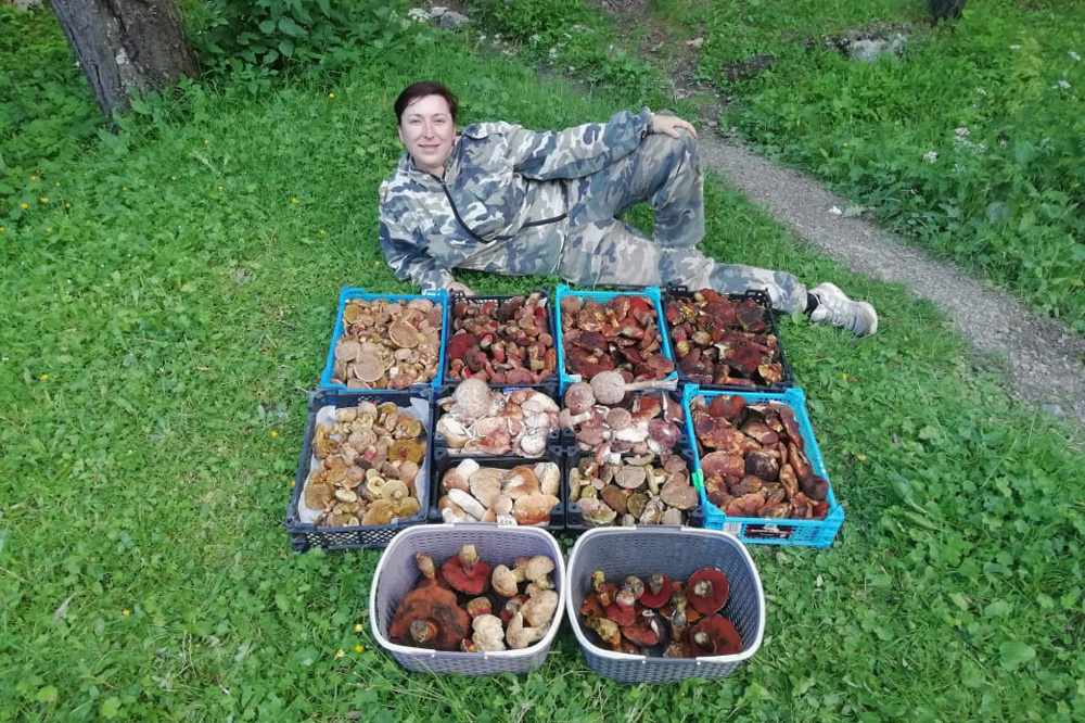 Прошлым летом Архыз особенно осчастливил грибников. / Инна Мартыненко / из личного архива.