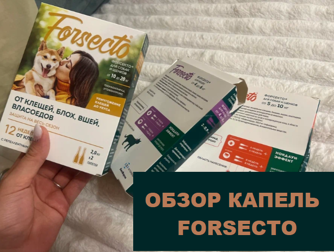 Действительно капли Форсекто защищают от паразитов 12 недель?