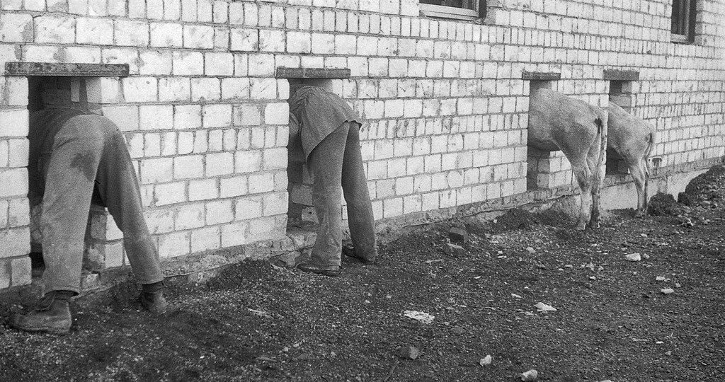 10 редких фотографий, которые покажут, каким странным был XX век