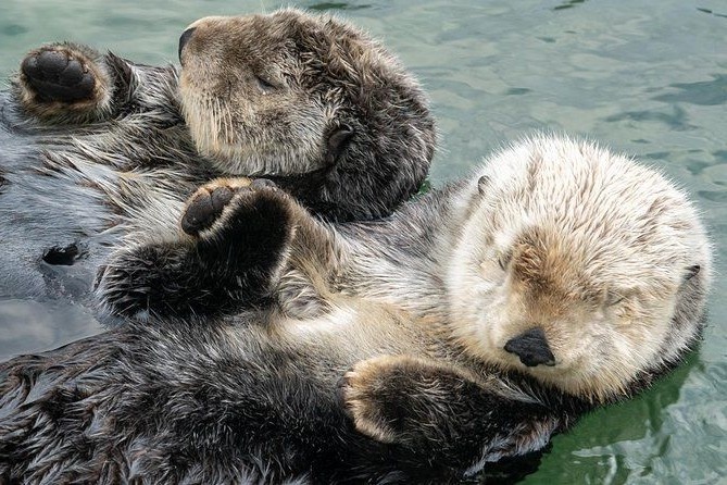 Когда обещал другу поддерживать на плаву, и ты буквально это делаешь.