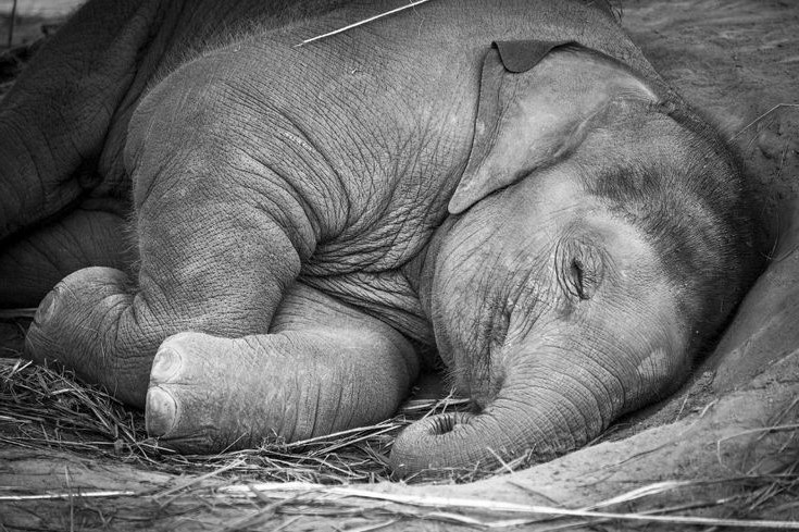 Планы на день: есть, спать, быть очаровашкой. Повторить.