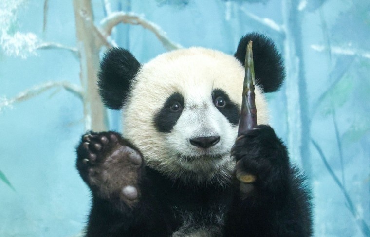    Сергей Петров/NEWS.ru