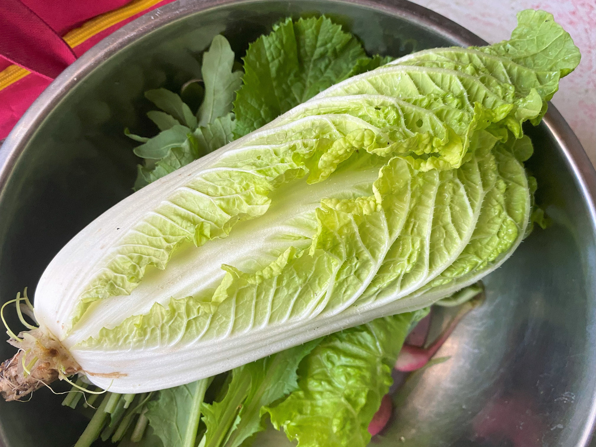 Кочан, выращенным мужем для иллюстрации, т.к. магазинный кочан я не фотографировала