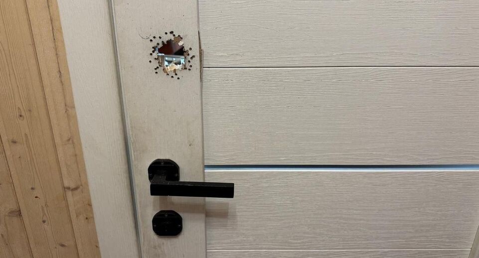     Прокуратура Ленинградской области